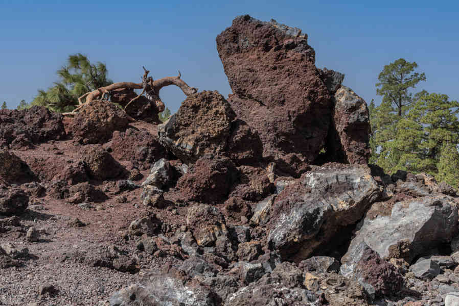 Tenerife 48 - parque nacional del Teide.jpg